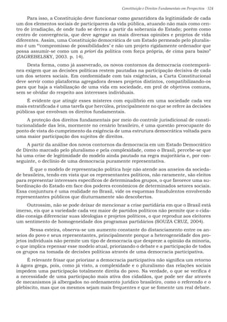 Constituição e Direitos Fundamentais em Perspectiva