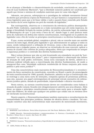 Constituição e Direitos Fundamentais em Perspectiva