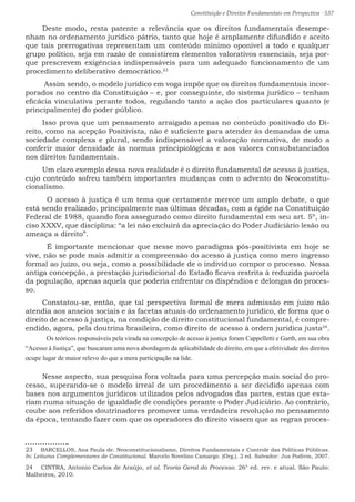 Constituição e Direitos Fundamentais em Perspectiva