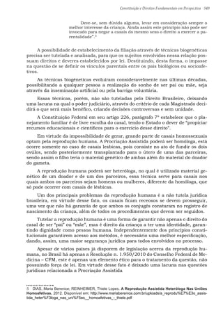 Constituição e Direitos Fundamentais em Perspectiva