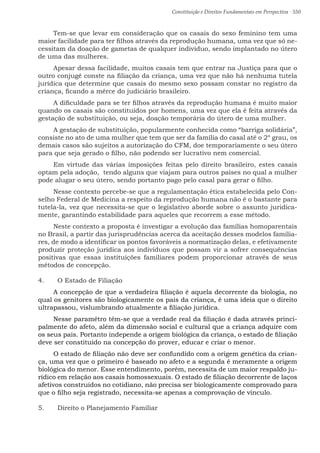 Constituição e Direitos Fundamentais em Perspectiva