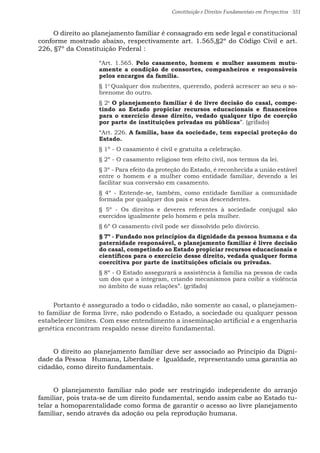 Constituição e Direitos Fundamentais em Perspectiva