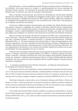 Constituição e Direitos Fundamentais em Perspectiva