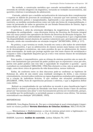 Constituição e Direitos Fundamentais em Perspectiva