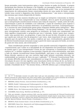 Constituição e Direitos Fundamentais em Perspectiva