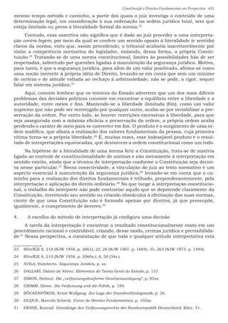 Constituição e Direitos Fundamentais em Perspectiva