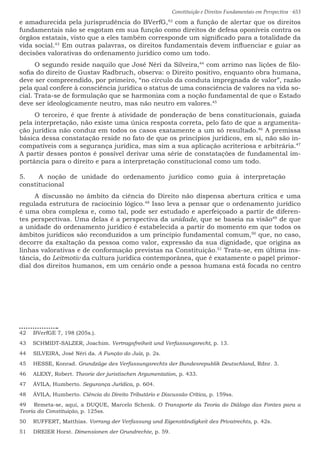 Constituição e Direitos Fundamentais em Perspectiva