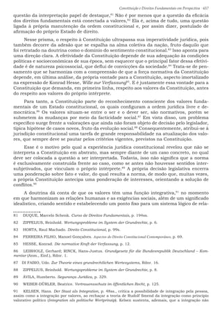 Constituição e Direitos Fundamentais em Perspectiva