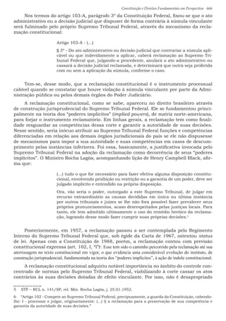 Constituição e Direitos Fundamentais em Perspectiva