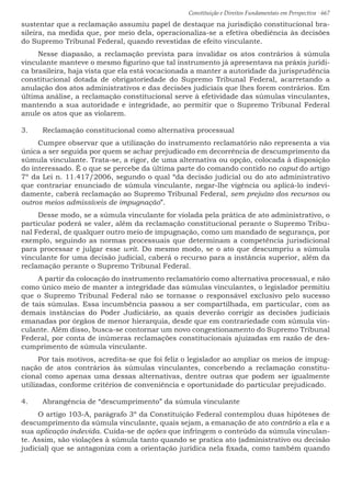 Constituição e Direitos Fundamentais em Perspectiva