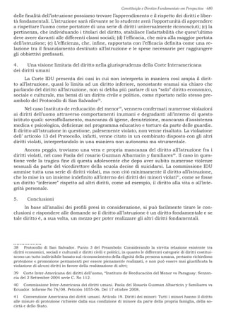 Constituição e Direitos Fundamentais em Perspectiva