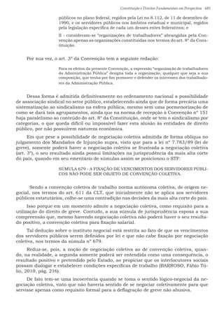 Constituição e Direitos Fundamentais em Perspectiva