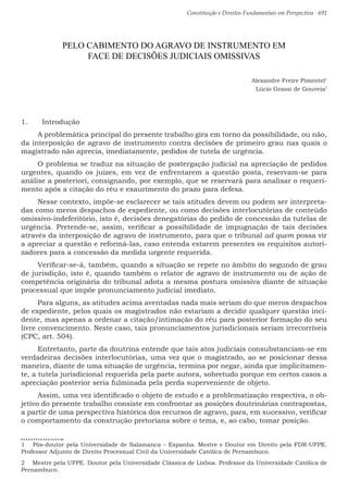 Constituição e Direitos Fundamentais em Perspectiva