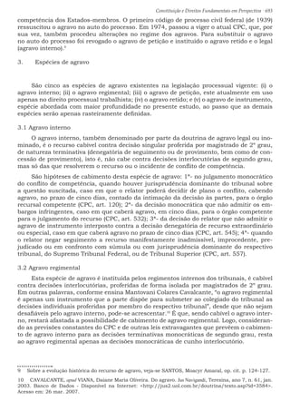 Constituição e Direitos Fundamentais em Perspectiva