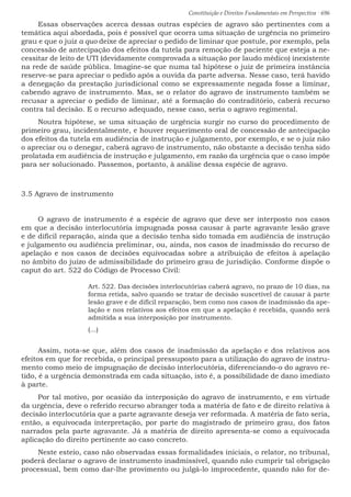 Constituição e Direitos Fundamentais em Perspectiva