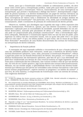 Constituição e Direitos Fundamentais em Perspectiva