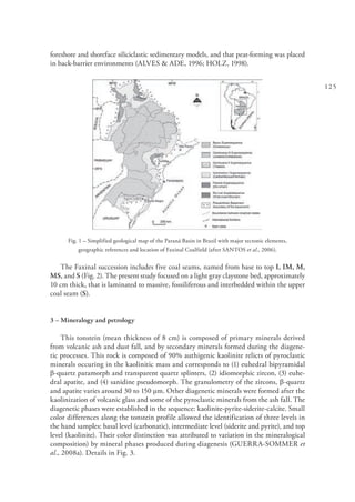 125
foreshore and shoreface siliciclastic sedimentary models, and that peat-forming was placed
in back-barrier environments (ALVES & ADE, 1996; HOLZ, 1998).
Fig. 1 – Simplified geological map of the Paraná Basin in Brazil with major tectonic elements,
geographic references and location of Faxinal Coalfield (after SANTOS et al., 2006).
The Faxinal succession includes five coal seams, named from base to top I, IM, M,
MS, and S (Fig. 2). The present study focused on a light gray claystone bed, approximately
10 cm thick, that is laminated to massive, fossiliferous and interbedded within the upper
coal seam (S).
3 – Mineralogy and petrology
This tonstein (mean thickness of 8 cm) is composed of primary minerals derived
from volcanic ash and dust fall, and by secondary minerals formed during the diagene-
tic processes. This rock is composed of 90% authigenic kaolinite relicts of pyroclastic
minerals occuring in the kaolinitic mass and corresponds to (1) euhedral bipyramidal
β-quartz paramorph and transparent quartz splinters, (2) idiomorphic zircon, (3) euhe-
dral apatite, and (4) sanidine pseudomorph. The granulometry of the zircons, β-quartz
and apatite varies around 30 to 150 µm. Other diagenetic minerals were formed after the
kaolinization of volcanic glass and some of the pyroclastic minerals from the ash fall. The
diagenetic phases were established in the sequence: kaolinite-pyrite-siderite-calcite. Small
color differences along the tonstein profile allowed the identification of three levels in
the hand samples: basal level (carbonatic), intermediate level (siderite and pyrite), and top
level (kaolinite). Their color distinction was attributed to variation in the mineralogical
composition) by mineral phases produced during diagenesis (GUERRA-SOMMER et
al., 2008a). Details in Fig. 3.
 