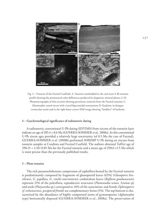 127
Fig. 3 – Tonstein of the Faxinal Coalfield. A. Tonstein interbedded in the coal seam S; B) tonstein
profile showing the pronounced color differences produced by diagenetic mineral phases; C-D.
Photomicrographs of thin sections showing pyroclastic minerals from the Faxinal tonstein; C.
Idiomorphic zoned zircon with crystal bipyramidal termination; D. Kaolinite in elongate
vermicular stacks and in the right lower corner SEM image showing “booklets” of kaolinite.
4 – Geochronological significance of radiometric dating
A radiometric conventional U-Pb dating (IDTIMS) from zircons of the tonstein layer
indicate an age of 285.4 ± 8.6 Ma (GUERRA-SOMMER et al., 2008a). As this conventional
U-Pb zircon ages provided a relatively large uncertainty (of 8.5 Ma the case of Faxinal),
GUERRA-SOMMER et al. (2008b) performed SHRIMP U-Pb dating on zircons from
tonstein samples at Candiota and Faxinal Coafield. The authors obtained Tuffzir age of
290.15 + 2.45/-0.85 Ma for the Faxinal tonstein and a mean age of 290.6 ±1.5 Ma which
is more precise than the previously published results.
5 – Plant remains
The rich parautochthonous compression of taphoflora hosted by the Faxinal tonstein
is predominantly composed by fragments of glossopterid leaves (62%) (Glossopteris bra-
siliensis, G. papillosa, G. similis-intermittens); cordaitalean leaves (Rufloria gondwanensis)
represent 21% of the paleoflora; reproductive structures (Plumsteadia sennes, Scutum sp)
and seeds (Platycardia sp.) correspond to 16% of the association; and fronds (Sphenopteris
cf. ischanovensis, pecopterid fronds) are complementary forms (1%). The top horizon is cha-
racterized by the abundance of highly compressed stems of gymnosperms (Aghatoxylon
type) horizontally disposed (GUERRA-SOMMER et al., 2008a). The preservation of
 