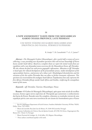 A NEW ANOMODONT TAXON FROM THE MOZAMBICAN
KAROO (NIASSA PROVINCE, LATE PERMIAN)
UM NOVO TÁXONE DO KAROO MOÇAMBICANO
(PROVÍNCIA DO NIASSA, PÉRMICO SUPERIOR)
R. Araújo1,2,
*, R. Castanhinha2,3,
* e L. C. Junior4,
*
Abstract –The Metangula Graben (Mozambique), after nearly half a century of scarce
collecting, is now providing new dicynodont specimens that will increase knowledge of Karoo
basins outside South Africa. Based on a complete ilium we report the initial results from our
expedition with a new dicynodont taxon occurrence for the Mozambican Karoo: aff. Diictodon.
We also relocate the fossil site with precise geographic information. Allocation to aff. Diictodon
is based upon the reduced development of the preacetabular process, modest development of the
supracetabular buttress, and presence of a robust neck. Morphological dissimilarities and the
variation of the ilia within Diictodon does not allow us further taxonomic refinement. This
specimen was recovered from the analogous South African Tropidostoma Zone and, represents the
first African Diictodon feliceps outside South Africa and Zambia, reinforcing the cosmopolitan
nature of this taxon.
Keywords – aff. Diictodon; Tatarian; Mozambique; Niassa
Resumo –O Graben de Metangula (Moçambique), após quase meio século de recolhas
escassas, fornece agora novos espécimes de Therapsida que aumentam o conhecimento
das bacias do Karoo. Baseado num ílio completo, relatamos os resultados iniciais de uma
expedição prévia com uma nova ocorrência de um táxone de Anomodontia para o Karoo
1
  Roy M. Huffington Department of Earth Sciences, Southern Methodist University, PO Box 750395,
Dallas, Texas, 75275-0395.
2
  Museu da Lourinhã, Rua João Luis de Moura, 95, 2530-158 Lourinhã, Portugal.
3
  Instituto Gulbenkian de Ciência, Rua da Quinta Grande, 6P-2780-156 Oeiras, Organogenesis Ibn
Batuta (A1) – Room 1A, Portugal.
4
  Museu Nacional de Geologia, Av. 24 de Julho, 355, Maputo, Mozambique.
*  These authors contributed equally to this work.
14
 