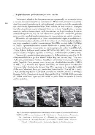 164
3 – Registro de anuros gondwânicos no jurássico e cretáceo
Todas as três subordens dos Anura se encontram representadas em terrenos jurássicos
e cretáceos dos continentes africano e sulamericano. Mesmo assim, mostram baixa diversi-
dade (pouco mais de uma dezena de espécies descritas), o que não surpreende, considerando
que a maioria dos depósitos sedimentares destes períodos em todo o mundo é de origem
marinha, um ambiente caracteristicamente hostil aos anfíbios. Naturalmente, as restritas
condições ambientais necessárias à vida dos anuros e sua frágil osteologia devem ter
contribuído igualmente para um reduzido número de espécimes conservados, pois em
geral as espécies gondwânicas foram descritas com base em apenas um ou dois exemplares.
Há somente três espécies jurássicas e onze cretáceas descritas na porção gondwânica di-
retamente relacionada ao Atlântico. Além destas formas, há um exemplar da família Pipidae
que foi encontrado em camadas cenomanianas de Wadi Milk, norte do Sudão (EVANS et
al., 1996), e alguns espécimes tentativamente relacionados ao gênero Xenopus Wagler 1877,
da mesma família, como os ocorrentes nos estratos aptianos do Malawi (JACOBS et al.,
1990) e da Bacia do Koum, nos Camarões (FLYNN & BRUNET, 1989), e nas camadas
campanianas(?) da Patagônia argentina, na Formação Los Alamitos (BÁEZ, 1987 e 1991).
Todas as três espécies jurássicas descritas provêm da Patagônia argentina (Fig. 1), de
diferentes unidades estratigráficas. Vieraella herbesti Reig 1961 é a mais antiga (Toarciano-
-Aaleniano), encontrada na Formação Roca Blanca aflorante na província de Santa Cruz,
sul da Patagônia. É um pequeno anuro pertencente à família Leiopelmatidae (ESTES
& REIG, 1973). As outras duas espécies pertencem a um mesmo gênero alocado como
‘Leptodactylidae’: Notobatrachus degiustoi Reig 1955, registrada na Formação La Matilde
(Caloviano-Oxfordiano) do norte da província de Santa Cruz (BÁEZ & NICOLI, 2004);
e Notobatrachus reigi Báez e Nicoli 2008, ocorrente no membro Chacritas da Formação
Cañadón Asfalto (Caloviano) da área de Zitarrosa (BÁEZ & NICOLI, 2008), província
de Chubut, setentrional à província de Santa Cruz, onde foram encontradas as demais
espécies jurássicas.
Fig. 1 – Reconstrução paleogeográfica do Gondwana em três tempos do Jurássico (modificado de
SCOTESE, 2001) e a ocorrência de anuros: Ji – Eojurássico; Jm – Mesojurássico; Js – Neojurássico;
Gw – Gondwana; Af N – África norte; Af S – África sul; Ant – Antártica; Arg – Argentina;
Aus – Austrália; Br – Brasil; In – Índia; Gw Oc – Gondwana Ocidental; Gw Or – Gondwana
Oriental; 1 – Vieraella herbesti; 2 – Notobatrachus degiustoi; 3 – Notobatrachus reigi.
 