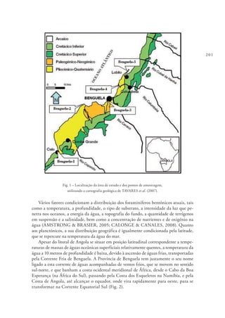 201
Fig. 1 – Localização da área de estudo e dos pontos de amostragem,
utilizando a cartografia geológica de TAVARES et al. (2007).
Vários fatores condicionam a distribuição dos foraminíferos bentónicos atuais, tais
como a temperatura, a profundidade, o tipo de substrato, a intensidade da luz que pe-
netra nos oceanos, a energia da água, a topografia do fundo, a quantidade de terrígenos
em suspensão e a salinidade, bem como a concentração de nutrientes e de oxigénio na
água (AMSTRONG & BRASIER, 2005; CALONGE & CANALES, 2008). Quanto
aos planctónicos, a sua distribuição geográfica é igualmente condicionada pela latitude,
que se repercute na temperatura da água do mar.
Apesar do litoral de Angola se situar em posição latitudinal correspondente a tempe-
raturas de massas de águas oceânicas superficiais relativamente quentes, a temperatura da
água a 10 metros de profundidade é baixa, devido à ascensão de águas frias, transportadas
pela Corrente Fria de Benguela. A Província de Benguela tem justamente o seu nome
ligado a esta corrente de águas acompanhadas de ventos frios, que se movem no sentido
sul-norte, e que banham a costa ocidental meridional de África, desde o Cabo da Boa
Esperança (na África do Sul), passando pela Costa dos Esqueletos na Namíbia, e pela
Costa de Angola, até alcançar o equador, onde vira rapidamente para oeste, para se
transformar na Corrente Equatorial Sul (Fig. 2).
 