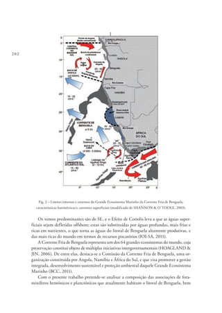 202
Fig. 2 – Limites internos e externos do Grande Ecossistema Marinho da Corrente Fria de Benguela,
características batimétricas e correntes superficiais (modificado de SHANNON & O´TOOLE, 2003).
Os ventos predominantes são de SE, e o Efeito de Coriolis leva a que as águas super-
ficiais sejam defletidas offshore; estas são substituídas por águas profundas, mais frias e
ricas em nutrientes, o que torna as águas do litoral de Benguela altamente produtivas, e
das mais ricas do mundo em termos de recursos piscatórios (IOI-SA, 2011).
A Corrente Fria de Benguela representa um dos 64 grandes ecossistemas do mundo, cuja
preservação constitui objeto de múltiplas iniciativas intergovernamentais (HOAGLAND &
JIN, 2006). De entre elas, destaca-se a Comissão da Corrente Fria de Benguela, uma or-
ganização constituída por Angola, Namíbia e África do Sul, e que visa promover a gestão
integrada, desenvolvimento sustentável e proteção ambiental daquele Grande Ecossistema
Marinho (BCC, 2011).
Com o presente trabalho pretende-se analisar a composição das associações de fora-
miníferos bentónicos e planctónicos que atualmente habitam o litoral de Benguela, bem
 