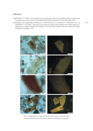 213
Referências
CARVALHO, I. S. (1993) – Os Conchostráceos Fósseis das Bacias Interiores do Nordeste do Brasil. Programa de
Pós-graduação em Geociências, Universidade Federal do Rio de Janeiro, Tese de Doutorado, 310 p.
OLIVEIRA, A.D., MEDONÇA-FILHO, J. G., SANT’ANNA, A. J., SOUZA, J. T., FREITAS, A. G. &
MENEZES, T. R. (2006) – Inovação no processamento químico para isolamento da matéria orgânica se-
dimentar. In: Congresso Brasileiro de Geologia, 43, Aracaju, 2006. Boletim de Resumos, Aracaju, Sociedade
Brasileira de Geologia, p. 324.
Fig. 2 – Fragmentos de carapaça de Cyzicus pricei; reparar na ornamentação
carenada microalveolar, em luz branca (direita) e fluorescência (esquerda).
 
