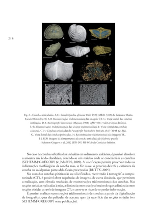 218
Fig. 2 – Conchas articuladas. A-C. Somalirhynchia africana Weir, 1925 (MB.B. 3355) do Jurássico Medio.
Escala 10 mm [A-H]. A-B. Reconstruções tridimensionais das imagens CT. C. Vista lateral das conchas
silificadas. D-F. Rostrospirifer tonkinensis (Mansuy, 1908) (SMF 59177) do Devónico Inferior.
D-E. Reconstruções tridimensionais das secções tridimensionais. F. Vista ventral das conchas
calcárias. G-H. Conchas articuladas de Paraspirifer bownockeri Stewart, 1927 (YPM 221312).
G. Vista dorsal das conchas piritizadas. H. Reconstruções tridimensionais das imagens TC.
I-J. SEM imagens da ultraestrutura da concha articulada de Hadrosia gracilis
Schemm-Gregory et al.,2012 (UN-DG-BR 9453) do Cretácico Inferior.
No caso de conchas silicificadas incluídas em sedimentos calcários, é possível dissolver
a amostra em ácido clorídrico, obtendo-se um resíduo onde se concentram as conchas
(SCHEMM-GREGORY & JANSEN, 2009). A silicificação permite preservar todas as
informações morfológicas da concha mas, se for suave, o processo destrói a estrutura da
concha ou só algumas partes dela ficam preservadas (BUTTS, 2005).
No caso das conchas piritizadas ou silicificadas, recorrendo à tomografia compu-
torizada (CT), é possível obter sequências de imagens, de curta distância, que permitem
a realização, com elevada resolução, de reconstruções tridimensionais das conchas. Nas
secções seriadas realizadas à mão, a distância entre secções é maior do que a distância entre
secções obtidas através de imagens CT, e corre-se o risco de se perder informação.
É possível realizar reconstruções tridimensionais de conchas a partir da digitalização
de fotografias, quer das películas de acetato, quer da superfície das secções seriadas (ver
SCHEMM-GREGORY nesta publicação).
 