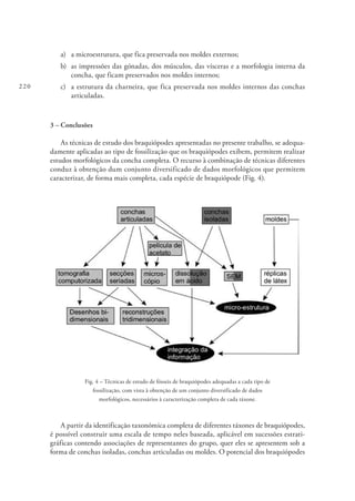 220
a)	 a microestrutura, que fica preservada nos moldes externos;
b)	 as impressões das gónadas, dos músculos, das vísceras e a morfologia interna da
concha, que ficam preservados nos moldes internos;
c)	 a estrutura da charneira, que fica preservada nos moldes internos das conchas
articuladas.
3 – Conclusões
As técnicas de estudo dos braquiópodes apresentadas no presente trabalho, se adequa-
damente aplicadas ao tipo de fossilização que os braquiópodes exibem, permitem realizar
estudos morfológicos da concha completa. O recurso à combinação de técnicas diferentes
conduz à obtenção dum conjunto diversificado de dados morfológicos que permitem
caracterizar, de forma mais completa, cada espécie de braquiópode (Fig. 4).
Fig. 4 – Técnicas de estudo de fósseis de braquiópodes adequadas a cada tipo de
fossilização, com vista à obtenção de um conjunto diversificado de dados
morfológicos, necessários à caracterização completa de cada táxone.
A partir da identificação taxonómica completa de diferentes táxones de braquiópodes,
é possível construir uma escala de tempo neles baseada, aplicável em sucessões estrati-
gráficas contendo associações de representantes do grupo, quer eles se apresentem sob a
forma de conchas isoladas, conchas articuladas ou moldes. O potencial dos braquiópodes
 