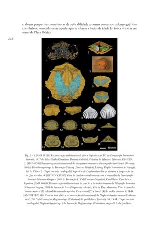 226
e abrem perspetivas promissoras de aplicabilidade a outros contextos paleogeográficos
correlativos, nomeadamente aqueles que se referem a bacias de idade Jurássica situadas em
torno da Placa Ibérica.
Fig. 2 – 1. [SMF 18256] Reconstrução tridimensional após a digitalização TC de Paraspirifer bownockeri
Steward, 1927 do Silica Shale (Givetiano, Devónico Médio), Pedreira da Sylvania, Sylvania, OH/EUA.
2. [SMF 66591] Reconstrução tridimensional do endoparasitismo entre Rostrospirifer tonkinensis (Mansuy,
1908) e Dicoelostrophia sp. da Formação Yujiang (Emsiano Inferior), Liujing, Região Autonómica Guangxi,
Sul da China. 3. [Espécime não catalogado] Superfície de Daghanirhynchia sp. durante a preparação de
secções seriadas. 4. [GZG.INV.15207] Vista da concha ventral interna com o braquídio de Leonispirifer
leonensis Schemm-Gregory, 2010 da Formação La Vid (Emsiano Superior), Cordilheira Cantábrica,
Espanha. [SMF 66590] Reconstrução tridimensional da concha e do molde interno de Filispirifer hamadae
Schemm-Gregory, 2008 da Formação Assa (Siegeniano Inferior), Vale de Dra, Marrocos. Vista da concha
interna ventral (5) e dorsal (6) com o braquídio. Vista ventral (7) e dorsal (8) do molde interno. 9, 11-14.
[AMNH FI-72380] Concha articulada e reconstrução tridimensional de Daghanirhynchia susanae Feldman
et al. (2012) da Formação Mughanniyya (Caloviano) do perfil Arda, Jordânia. 10, 15-18. [Espécime não
catalogado] Daghanirhynchia sp. 1 da Formação Mughanniyya (Caloviano) do perfil Arda, Jordânia.
 