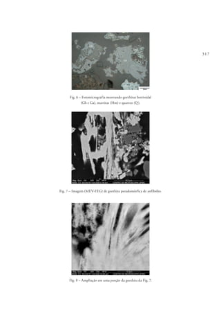 317
Fig. 6 – Fotomicrografia mostrando goethitas botrioidal
(Gb e Ga), martitas (Hm) e quartzo (Q).
Fig. 7 – Imagem (MEV-FEG) de goethita pseudomórfica de anfibólio.
Fig. 8 – Ampliação em uma porção da goethita da Fig. 7.
 
