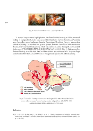 326
Fig. 4 – Clinohumites from Itaoca-Gironda (ES-Brazil).
It is more important to highlight that, far from humite-bearing marbles presented
in Fig. 1, orange clinohumites are preserved in Brasiliano marbles from Itaoca/Gironda
area. Such observation lead to the fact that Pan-African/Brasiliano Orogeny was not just
one of increasing charnockite and granite genesis, but one also of concomitant intense
fluorinated, water-rich fluid activity, which was transcontinental through Gondwanaland
in its scope (PRADEEPKUMAR & KRISHNANATH, 2000) (Fig. 5). Taken together,
humite-bearing marbles from Araçuaí/Ribeira and Mozambique Belts keep the huge
dimensions of the Pan-African/Brasiliano halogenated hydrothermal fluid activity.
Fig. 5 – Gondwana assembly reconstruction showing location of Pan-African/Brasiliano
events and occurrence of humite bearing marbles (adapted from GRUNOW, 1995
and PRADEEPKUMAR & KRISHNANATH, 2000).
References
FONTANELLI P. R., De ROS L. F. & REMUS M. V. D. (2009) – Provenance of turbiditic reservoir sand-
stones from the Jubarte Oilfield, Campos Basin, Eastern Brazilian Margin. Marine Petroleum Geology, 26,
p. 1274-1298.
 
