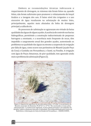 Embora as recomendações técnicas indicassem o
requerimento de drenagem, os sistemas não foram feitos ou, quando
feitos, não foram suficientes para promover o rebaixamento do lençol
freático e a lavagem dos sais. O baixo nível dos irrigantes e o uso
excessivo de água resultaram na salinização de muitos lotes,
principalmente, aqueles mais afastados da linha de drenagem
principal,acalhadorio.
Os processos de salinização se agravaram em virtude da baixa
qualidadedaságuasdealgunsaçudes.Aausênciadecontrolenasbacias
hidrográficas, permitindo a construção indiscriminada de pequenas
barragens a montante, e a ocorrência mais frequente de secas, têm
impedido o sangramento anual dos grandes açudes, aumentando os
problemas na qualidade das águas ou mesmo a suspensão da irrigação
por falta de água, como ocorre nos perímetros de Moxotó (açude Poço
da Cruz) e Custódia em Pernambuco, e Sumé, na Paraíba. A irrigação
com água de Poços Amazonas, de pior qualidade, tem agravado ainda
maisoproblemadasalinização(Figura2).
174
-1
Figura 2. Aspecto da superfície de um solo salino (CEes = 47 dSm ), no perímetro de
Moxotó, município de Ibimirim, PE (8°32' S e 37°41' W), mostrando a crosta salina
esbranquiçada e a ausência de vegetação. A única planta presente é um indivíduo de
Atriplex, espécie altamente tolerante à salinidade. Foto disponibilizada pelo Centro de
Referência e Informação de Solos do Estado de Pernambuco – CRISEP/UFRPE.
 