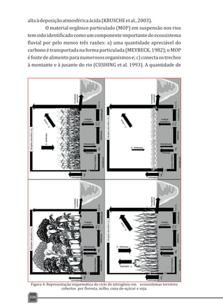 226
Figura 4. Representação esquemática do ciclo do nitrogênio em ecossistemas terretres
cobertos por floresta, milho, cana-de-açúcar e soja.
altaàdeposiçãoatmosféricaácida(KRUSCHEetal.,2003).
O material orgânico particulado (MOP) em suspensão nos rios
temsidoidentificadocomoumcomponenteimportantedoecossistema
fluvial por pelo menos três razões: a) uma quantidade apreciável do
carbonoétransportadanaformaparticulada(MEYBECK,1982);oMOP
éfontedealimentoparanumerososorganismose;c)conectaostrechos
à montante e à jusante do rio (CUSHING et al. 1993). A quantidade de
 