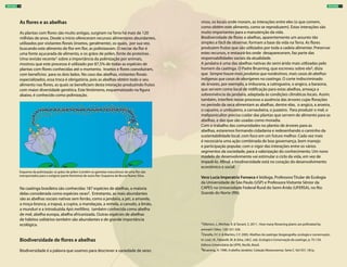 As flores e as abelhas
As plantas com flores são muito antigas, surgiram na Terra há mais de 120
milhões de anos. Desde o início ofereceram recursos alimentares abundantes,
utilizados por visitantes florais (insetos, geralmente), os quais, por sua vez,
buscando este alimento de flor em flor, as polinizavam. O nectar da flor é
uma fonte açucarada de alimento, e os grãos de pólen, fonte de proteínas .
Uma revisão recente1 sobre a importância da polinização por animais,
mostrou que este processo é utilizado por 87,5% de todas as espécies de
plantas com flores conhecidas até o momento. Insetos e flores coevoluíram,
com benefícios para os dois lados. No caso das abelhas, visitantes florais
especializados, essa troca é obrigatória, pois as abelhas obtêm todo o seu
alimento nas flores, as quais se beneficiam desta interação produzindo frutos
com maior diversidade genética. Este fenômeno, esquematizado na figura
abaixo, é conhecido como polinização.
Na caatinga brasileira são conhecidas 187 espécies de abelhas, a maioria
delas considerada como espécies raras2. Entretanto, as mais abundantes
são as abelhas sociais nativas sem ferrão, como a jandaíra, a jati, a amarela,
a moça-branca, a irapuá, a cupira, a mandaçaia, a remela, a canudo, a limão,
a munduri e a introduzida Apis mellifera, também conhecida como abelha
de mel, abelha europa, abelha africanizada. Outras espécies de abelhas
de hábitos solitários também são abundantes e de grande importância
ecológica.
Biodiversidade de flores e abelhas
Biodiversidade é a palavra que usamos para descrever a variedade de seres
vivos, os locais onde moram, as interações entre eles (o que comem,
como obtêm este alimento, como se reproduzem). Estas interações são
muito importantes para a manutenção da vida.
Biodiversidade de flores e abelhas, aparentemente um assunto tão
simples e fácil de observar, formam a base da vida na Terra. As flores
produzem frutos que são utilizados por toda a cadeia alimentar. Preservar
estes recursos, e restaurá-los onde desapareceram, faz parte das
responsabilidades sociais da atualidade.
A jandaíra é uma das abelhas nativas do semi-árido mais utilizadas pelo
homem da caatinga. O Padre Bruening, que escreveu sobre ela3, dizia
que Sempre houve mais jandaíras que nordestinos, mais casas de abelhas
indígenas que casas de aborígenes na caatinga. O corte indiscriminado
de árvores, por exemplo, a imburana, a catingueira, o angico, a baraúna,
que servem como local de nidificação para estas abelhas, ameaça a
sobrevivência da jandaíra, adaptada às condições climáticas locais. Assim,
também, interfere nesse processo a ausência das árvores cujas florações
no período da seca alimentam as abelhas, dentre elas,  o angico, a aroeira,
o cajueiro, o umbuzeiro, a carnaubeira, o juazeiro. Para produzir o mel, o
meliponicultor precisa cuidar das plantas que servem de alimento para as
abelhas, e das que são usadas como moradia.
Com o trabalho das comunidades no plantio de árvores para as
abelhas, estaremos formando cidadania e redesenhando o caminho da
sustentabilidade local, com foco em um futuro melhor. Cada vez mais
é necessária uma ação combinada de boa governança, bom manejo
e participação popular, com o vigor das interações entre os vários
segmentos da sociedade, para a valorização do conhecimento. Um novo
modelo de desenvolvimento vai estimular o ciclo da vida, em vez de
impedi-lo. Afinal, a biodiversidade está no coração do desenvolvimento
econômico e social.
Vera Lucia Imperatriz Fonseca é bióloga, Professora Titular de Ecologia
da Universidade de São Paulo (USP) e Professora Visitante Sênior da
CAPES na Universidade Federal Rural do Semi-Árido (UFERSA), no Rio
Grande do Norte (RN).
1Ollerton, J., Winfree, R. & Tarrant, S. 2011 . How many flowering plants are pollinated by
animals? Oikos, 120: 321-326.
2Zanella, F.C.V. & Martins, C.F. 2003. Abelhas da caatinga: biogeografia, ecologia e conservação.
In: Leal, I.R., Tabarelli, M. & Silva, J.M.C. eds. Ecologia e Conservação da caatinga, p. 75-134.
Editora Universitária da UFPE, Recife, Brasil.
3Bruening, H. 1990. A abelha Jandaíra. Coleção Mossoroense. Serie C. Vol 557, 181p.
ÁRVORES 11ÁRVORES 10
Esquema da polinização: os grãos de pólen (contêm os gametas masculinos) de uma flor são
transportados para o estigma (parte feminina) de outra flor. Esquema de Bruno Nunes Silva.
 