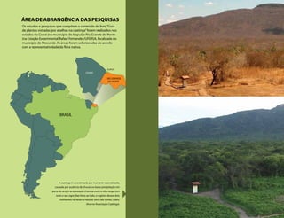 ÁREA DE ABRANGÊNCIA DAS PESQUISAS
ICAPUÍ
BRASIL
CEARÁ
RIO GRANDE
DO NORTE
Os estudos e pesquisas que compõem o conteúdo do livro“Guia
de plantas visitadas por abelhas na caatinga”foram realizados nos
estados do Ceará (no município de Icapuí) e Rio Grande do Norte
(na Estação Experimental Rafael Fernandes/UFERSA, localizada no
município de Mossoró). As áreas foram selecionadas de acordo
com a representatividade da flora nativa.
A caatinga é caracterizada por marcante sazonalidade,
causada por ausência de chuvas ou baixa precipitação em
parte do ano, e uma estação chuvosa onde a vida surge com
todo o seu vigor. Nas fotos ao lado, o registro desses dois
momentos na Reserva Natural Serra das Almas, Ceará.
(Acervo Associação Caatinga).
 
