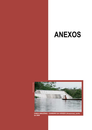 165
ANEXO A
Mapas com projeções anual e sazonal (DJF, MAM, JJA, SON) de chuva e temperatura do
ar (valores absolutos e anomalias) dos AOGCMs do IPCC - CCMA (Canada), CSIRO (Australia),
GFDL (EUA), HadCM3 (Reino Unido) e CCSR/NIES (Japão). Mapas são para os “time slices”
2010-2040, 2041-2070, e 2071-2100, para os cenários A2 e B2. Unidades são em mm/día para
chuva e anomalias de chuva e oC para temperatura do ar e anomalias de temperatura do ar.
Barra com escala de cores aparece na parte inferior do painel de mapas que apresentam as
projeção B2 anual para mapas de chuva e temperatura (valores e anomalias).
ANEXO B
Mapas com diferenças entre a climatologia atual 1961-90 simuladas pelos modelos CCMa
(Canada), CSIRO (Australia), GFDL (EUA), HadCM3 (Reino Unido) e CCSR/NIES (Japão) e a
climatologia observada da CRU (1961-90). Os mapas são a nivel sazonal (DJF, MAM, JJA, SON)
de chuva e temperatura do ar. Unidades são em mm/día para chuva e anomalias de chuva e oC
para temperatura do ar e anomalias de temperatura do ar. Barra com escala de cores aparece
na parte inferior do painel de mapas.
 