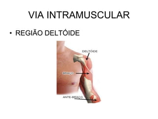 VIA INTRAMUSCULAR
• REGIÃO DELTÓIDE

 