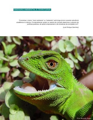 DIMENSÃO AMBIENTAL E TERRITORIAL




     “Conceituar o termo “meio ambiente” ou “ambiente” está longe de ter somente relevância
  acadêmica ou teórica. O entendimento amplo ou restrito do conceito determina o alcance de
                 políticas publicas, de ações empresariais e de iniciativas da sociedade civil”.
                                                                        (Luis Enrique Sanchez)




                                              106


                                                                                             Foto Ricardo Zuppi
 