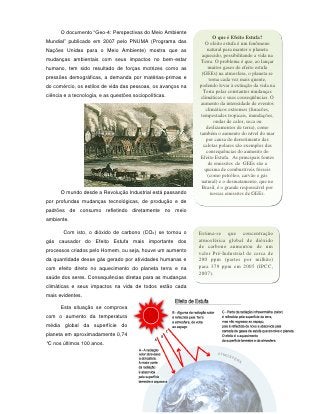 O documento “Geo-4: Perspectivas do Meio Ambiente
                                                                     O que é Efeito Estufa?
Mundial” publicado em 2007 pelo PNUMA (Programa das             O efeito estufa é um fenômeno
Nações Unidas para o Meio Ambiente) mostra que as                natural para manter o planeta
                                                              aquecido, possibilitando a vida na
mudanças ambientais com seus impactos no bem-estar            Terra. O problema é que, ao lançar
humano, tem sido resultado de forças motrizes como as             muitos gases de efeito estufa
                                                              (GEEs) na atmosfera, o planeta se
pressões demográficas, a demanda por matérias-primas e             torna cada vez mais quente,
do comércio, os estilos de vida das pessoas, os avanços na   podendo levar à extinção da vida na
                                                               Terra pelas constantes mudanças
ciência e a tecnologia, e as questões sociopolíticas.        climáticas e suas conseqüências. O
                                                              aumento da intensidade de eventos
                                                                climáticos extremos (furacões,
                                                              tempestades tropicais, inundações,
                                                                     ondas de calor, seca ou
                                                                 deslizamentos de terra), como
                                                             também o aumento do nível do mar
                                                                 por causa do derretimento das
                                                               calotas polares são exemplos das
                                                                 consequências do aumento do
                                                             Efeito Estufa. As principais fontes
                                                                  de emissões de GEEs são a
                                                                queima de combustíveis fósseis
                                                                  (como petróleo, carvão e gás
                                                              natural) e o desmatamento, que no
                                                              Brasil, é o grande responsável por
      O mundo desde a Revolução Industrial está passando            nossas emissões de GEEs.
por profundas mudanças tecnológicas, de produção e de
padrões de consumo refletindo diretamente no meio
ambiente.

       Com isto, o dióxido de carbono (CO2) se tornou o      Estima-se que concentração
gás causador do Efeito Estufa mais importante dos            atmosférica global de dióxido
                                                             de carbono aumentou de um
processos criados pelo Homem, ou seja, houve um aumento
                                                             valor Pré-Industrial de cerca de
da quantidade desse gás gerado por atividades humanas e      280 ppm (partes por milhão)
com efeito direto no aquecimento do planeta terra e na       para 379 ppm em 2005 (IPCC,
                                                             2007).
saúde dos seres. Consequências diretas para as mudanças
climáticas e seus impactos na vida de todos estão cada
mais evidentes.

      Esta situação se comprova
com o aumento da temperatura
média global da superfície do
planeta em aproximadamente 0,74
°C nos últimos 100 anos.




                                                 111
 