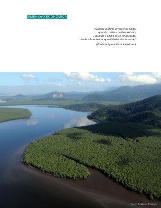 DIMENSÃO ECONÔMICA


                                    “Quando a última árvore tiver caído,
                                      ...quando o último rio tiver secado,
                                  ...quando o último peixe for pescado,
                     ...vocês vão entender que dinheiro não se come”.
                                     (Chefe Indígena Norte Americano)




                     161


                                                                    Foto: Marcos França
 