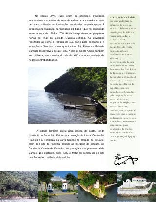 No século XVII, duas eram as principais atividades
                                                                       A Armação da Baleia
econômicas, o engenho de cana-de-açúcar, e a extração de óleo          era uma indústria de
de baleia, utilizado na iluminação das cidades naquela época. A        extração do óleo da
extração era realizada na “armação da baleia” que foi construída       baleia. “Sabe-se que as
entre os anos de 1699 e 1700. Ainda hoje pode-se ver pequenas          instalações da fábrica
                                                                       foram ampliadas a
ruínas no final da Estrada Guarujá-Bertioga. As atividades
                                                                       partir de 1754,
realizadas ali como a retirada de sua carne para consumo e a           passando a ocupar três
extração do óleo das baleias que iluminou São Paulo e a Baixada        mil metros de frente
Santista desenvolveu-se até 1830. A ilha de Santo Amaro também         para o canal, até
era utilizada, até meados do século XIX, como esconderijo de           confinar com o mar
                                                                       aberto (...)
negros contrabandeados.
                                                                       posteriormente foram
                                                                       incorporadas as terras
                                                                       denominadas São Pedro
                                                                       de Iporanga e Buracão,
                                                                       destinadas a extração de
                                                                       madeira (...) a fábrica
                                                                       possui a residência do
                                                                       capelão; casas de
                                                                       moradia assobradadas;
                                                                       seis tanques de óleo
                                                                       para 100 baleias;
                                                                       engenho de frigir; casas
                                                                       para as amarras;
                                                                       lanchas; senzala para 63
                                                                       escravos; cais e rampa;
                                                                       edificações para feitores
                                                 Armação das Baleias   e baleeiros; armazéns e
                                                                       carpintarias para
                                                                       confecção de tonéis,
      A cidade também serviu para defesa da costa, sendo
                                                                       entre outras unidades
construído o Forte São Felipe para proteção do Litoral Centro-Sul      (www.guaruja1.hpg.ig.c
Paulista e a Fortaleza da Barra Grande na entrada do estuário,         om.br)
além do Forte do Itapema, situado às margens do estuário, no
Distrito de Vicente de Carvalho que protegia a margem oriental de
Santos. Não obstante, entre 1932 e 1942, foi construído o Forte
dos Andradas, na Praia do Monduba.




                                            33




                                                                             Fotos: www.novomilenio.inf.br/guaruja
 