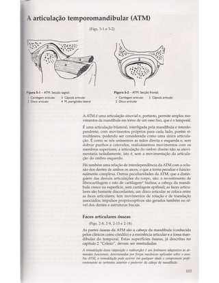 Livro: Anatomia da Face  odontostation@gmail.com