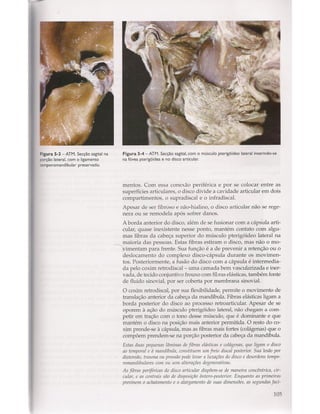 Livro: Anatomia da Face  odontostation@gmail.com