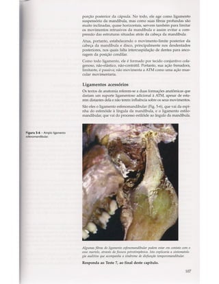 Livro: Anatomia da Face  odontostation@gmail.com