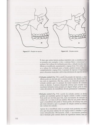 Livro: Anatomia da Face  odontostation@gmail.com