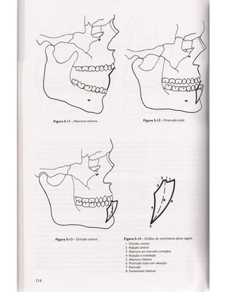 Livro: Anatomia da Face  odontostation@gmail.com