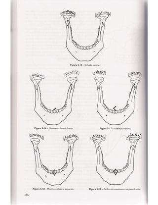 Livro: Anatomia da Face  odontostation@gmail.com