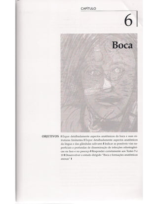 Livro: Anatomia da Face  odontostation@gmail.com