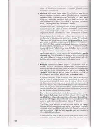 Livro: Anatomia da Face  odontostation@gmail.com